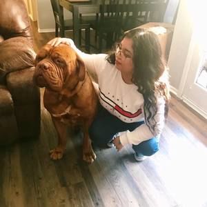 Meet your Posher, Mireille